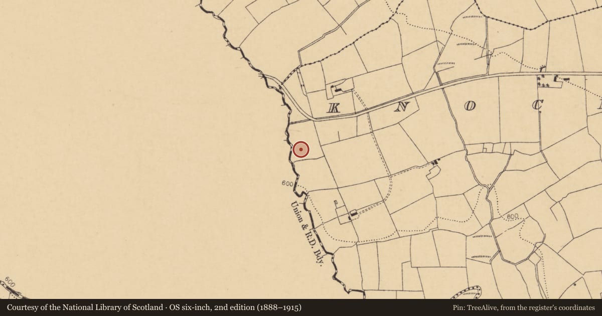Ordnance Survey six-inch map, 2nd edition (1888–1915) covering the location of Enclosure, Knockawillin (Duhallow By., Tullylease Par.), County Cork, with a pin at the register's coordinates