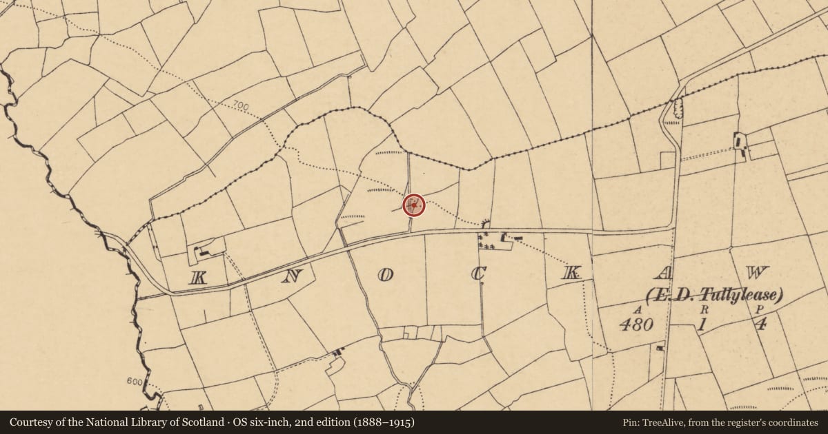 Ordnance Survey six-inch map, 2nd edition (1888–1915) covering the location of Fulacht fia, Knockawillin (Duhallow By., Tullylease Par.), County Cork, with a pin at the register's coordinates