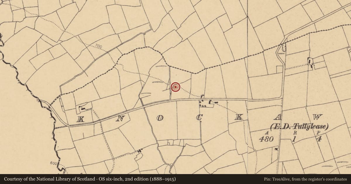 Ordnance Survey six-inch map, 2nd edition (1888–1915) covering the location of Fulacht fia, Knockawillin (Duhallow By., Tullylease Par.), County Cork, with a pin at the register's coordinates