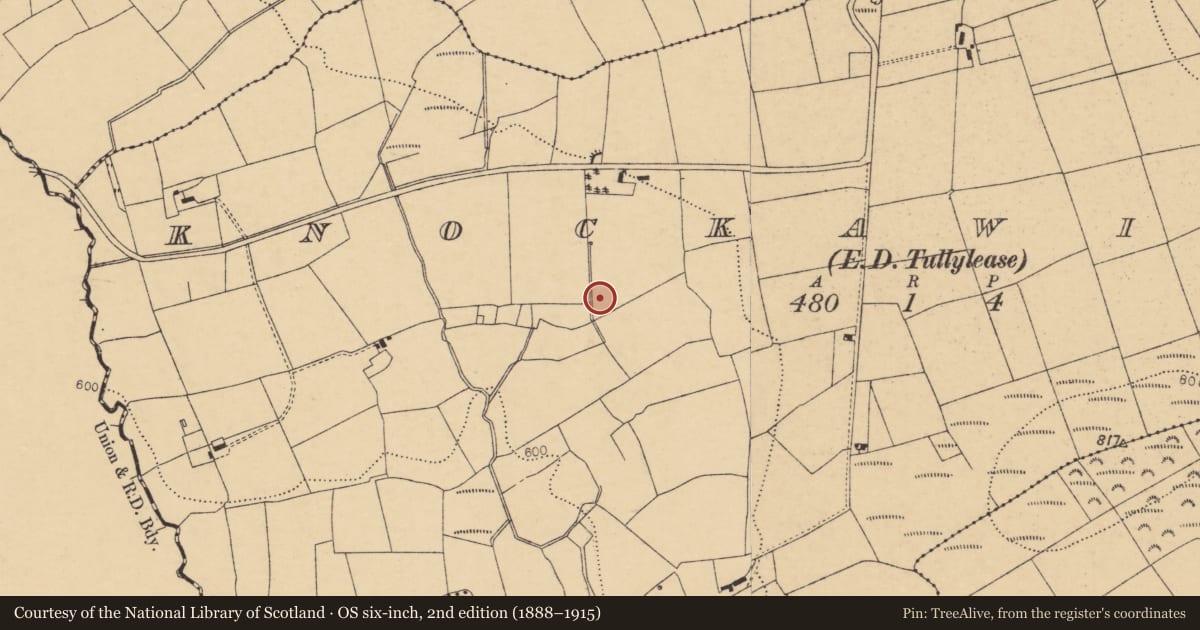 Ordnance Survey six-inch map, 2nd edition (1888–1915) covering the location of Fulacht fia, Knockawillin (Duhallow By., Tullylease Par.), County Cork, with a pin at the register's coordinates