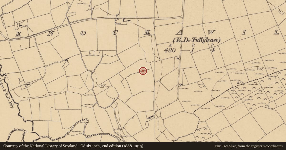 Ordnance Survey six-inch map, 2nd edition (1888–1915) covering the location of Fulacht fia, Knockawillin (Duhallow By., Tullylease Par.), County Cork, with a pin at the register's coordinates