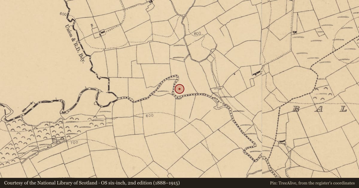 Ordnance Survey six-inch map, 2nd edition (1888–1915) covering the location of Mill - unclassified, Knockawillin (Duhallow By., Tullylease Par.), County Cork, with a pin at the register's coordinates