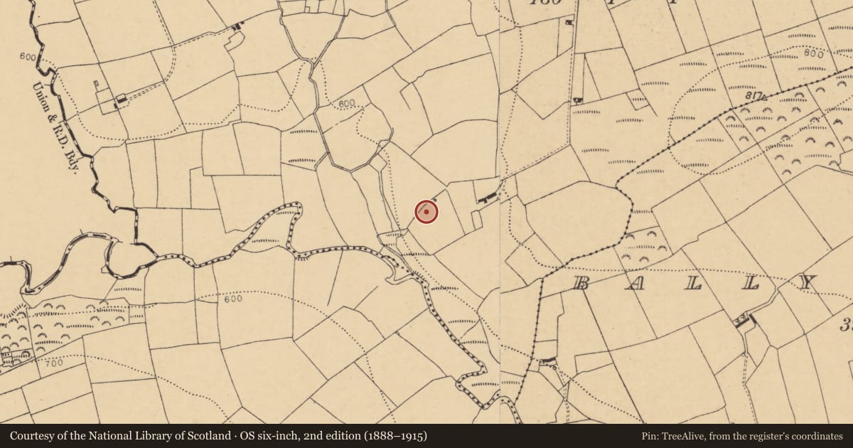 Ordnance Survey six-inch map, 2nd edition (1888–1915) covering the location of Fulacht fia, Knockawillin (Duhallow By., Tullylease Par.), County Cork, with a pin at the register's coordinates