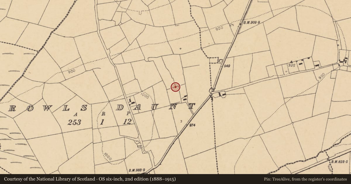 Ordnance Survey six-inch map, 2nd edition (1888–1915) covering the location of Penitential station, Rowls Daunt, County Cork, with a pin at the register's coordinates