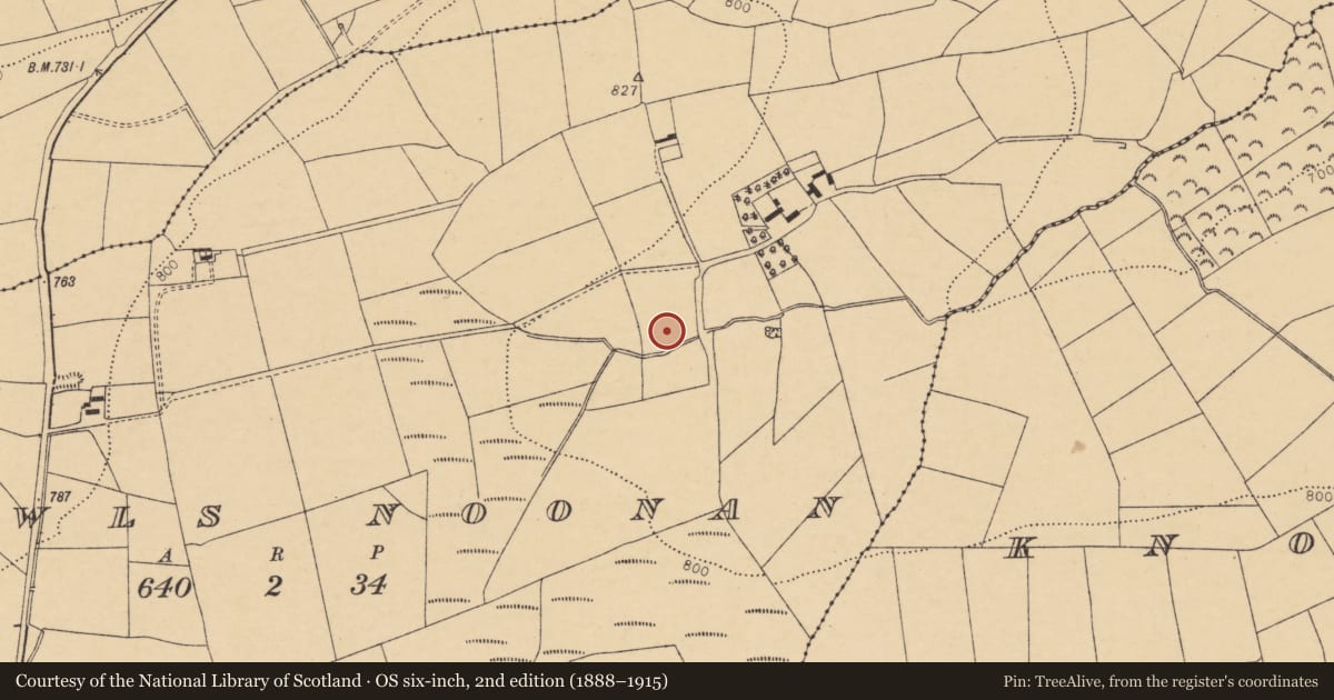 Ordnance Survey six-inch map, 2nd edition (1888–1915) covering the location of Fulacht fia, Rowls Noonan, County Cork, with a pin at the register's coordinates