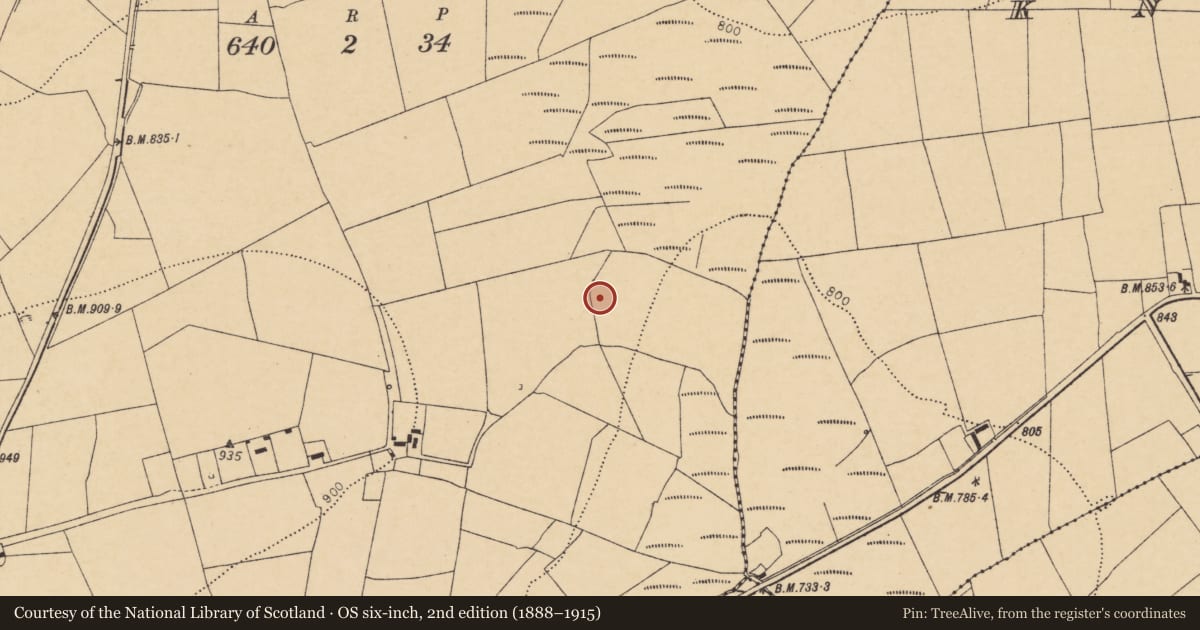 Ordnance Survey six-inch map, 2nd edition (1888–1915) covering the location of Fulacht fia, Rowls Noonan, County Cork, with a pin at the register's coordinates