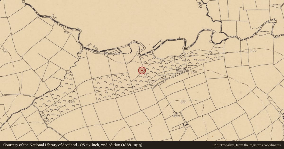 Ordnance Survey six-inch map, 2nd edition (1888–1915) covering the location of Fulacht fia, Knockskavane, County Cork, with a pin at the register's coordinates