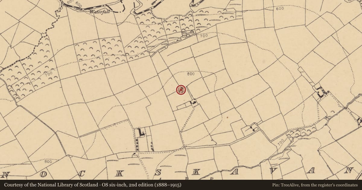 Ordnance Survey six-inch map, 2nd edition (1888–1915) covering the location of Burial ground, Knockskavane, County Cork, with a pin at the register's coordinates