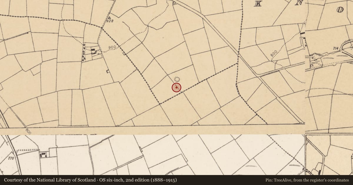 Ordnance Survey six-inch map, 2nd edition (1888–1915) covering the location of Barrow - ring-barrow, Knockskavane, County Cork, with a pin at the register's coordinates
