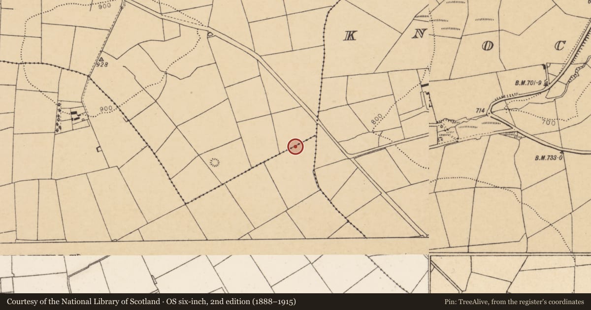 Ordnance Survey six-inch map, 2nd edition (1888–1915) covering the location of Fulacht fia, Knockskavane, County Cork, with a pin at the register's coordinates
