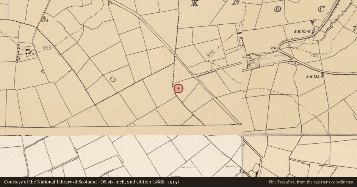 Ordnance Survey six-inch map, 2nd edition (1888–1915) covering the location of Fulacht fia, Knockskehy, County Cork, with a pin at the register's coordinates