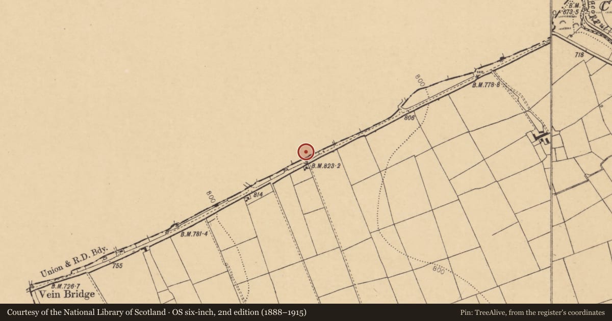 Ordnance Survey six-inch map, 2nd edition (1888–1915) covering the location of Linear earthwork, Knockearagh, County Cork, with a pin at the register's coordinates