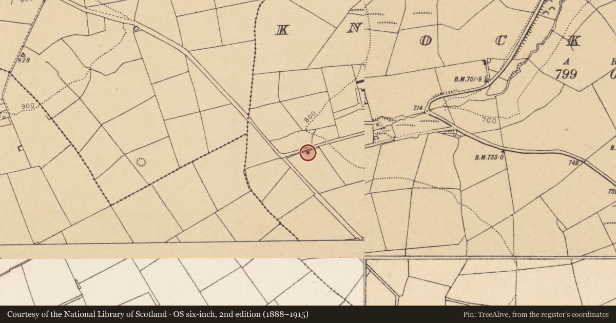 Ordnance Survey six-inch map, 2nd edition (1888–1915) covering the location of Fulacht fia, Knockskehy, County Cork, with a pin at the register's coordinates