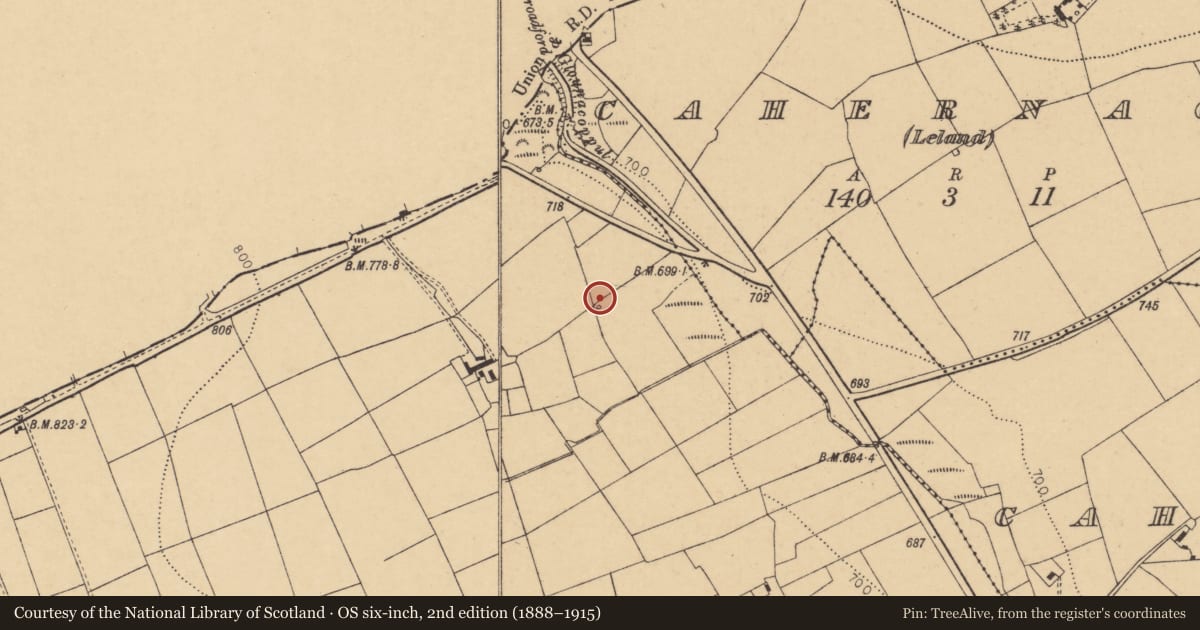 Ordnance Survey six-inch map, 2nd edition (1888–1915) covering the location of Fulacht fia, Knockearagh, County Cork, with a pin at the register's coordinates
