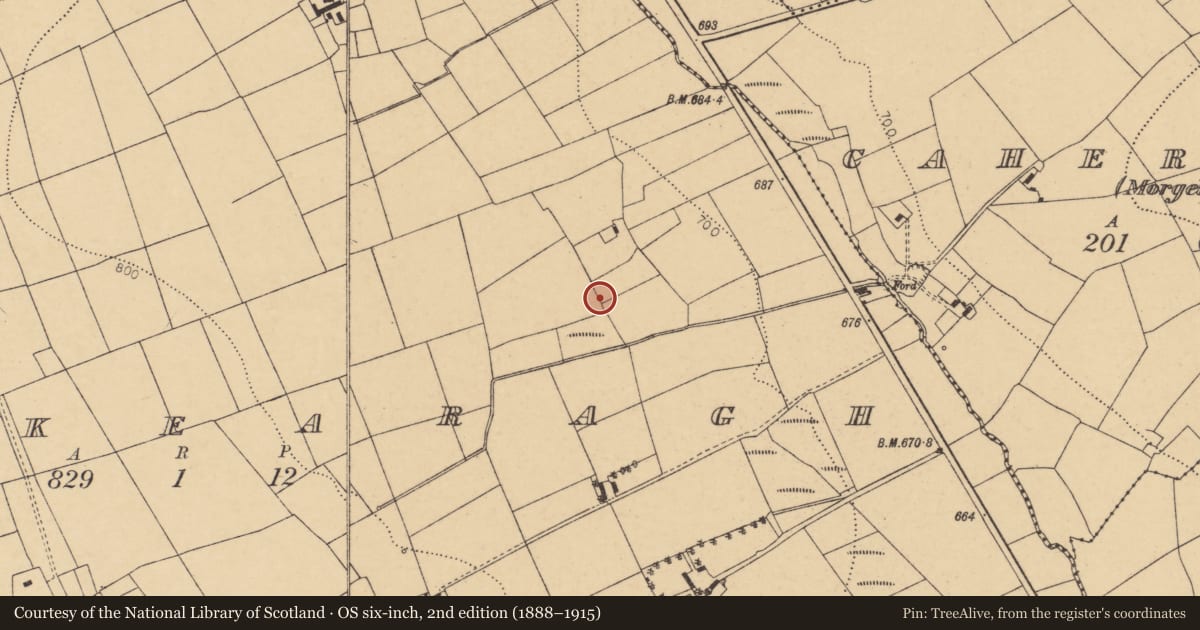 Ordnance Survey six-inch map, 2nd edition (1888–1915) covering the location of Fulacht fia, Knockearagh, County Cork, with a pin at the register's coordinates