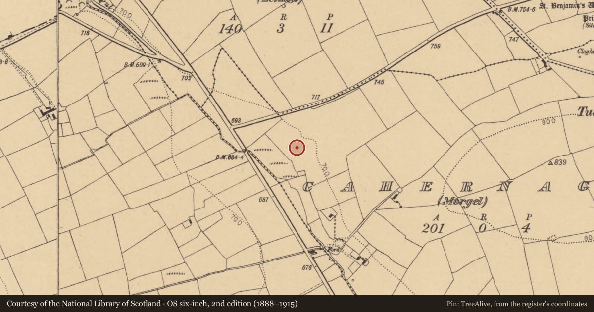 Ordnance Survey six-inch map, 2nd edition (1888–1915) covering the location of Fulacht fia, Cahernagh (Morgel), County Cork, with a pin at the register's coordinates