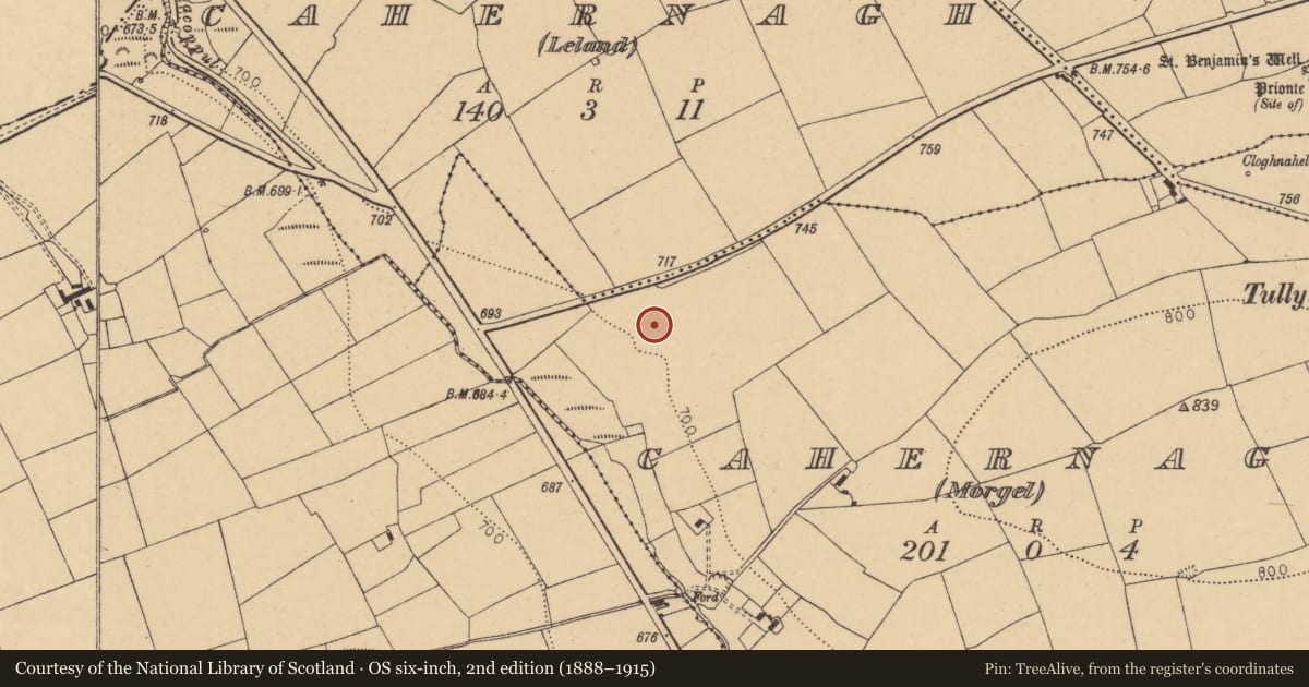 Ordnance Survey six-inch map, 2nd edition (1888–1915) covering the location of Fulacht fia, Cahernagh (Morgel), County Cork, with a pin at the register's coordinates