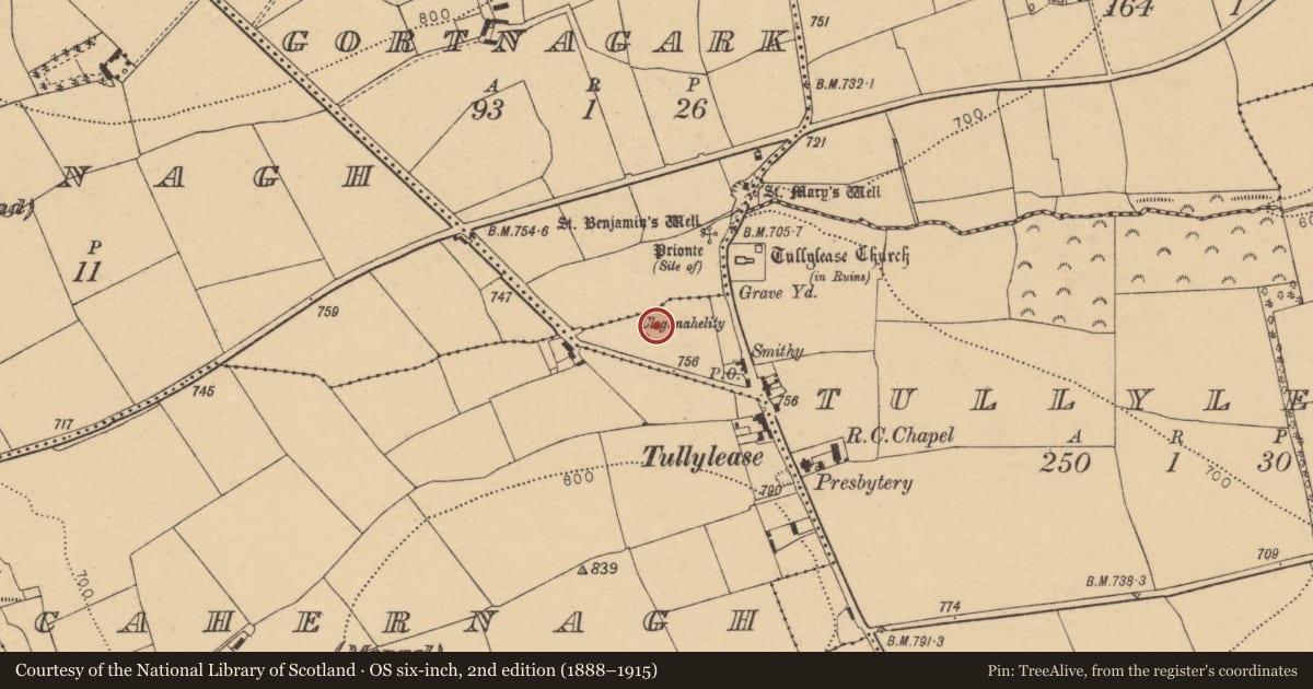 Ordnance Survey six-inch map, 2nd edition (1888–1915) covering the location of Bullaun stone, Gortnagark, County Cork, with a pin at the register's coordinates