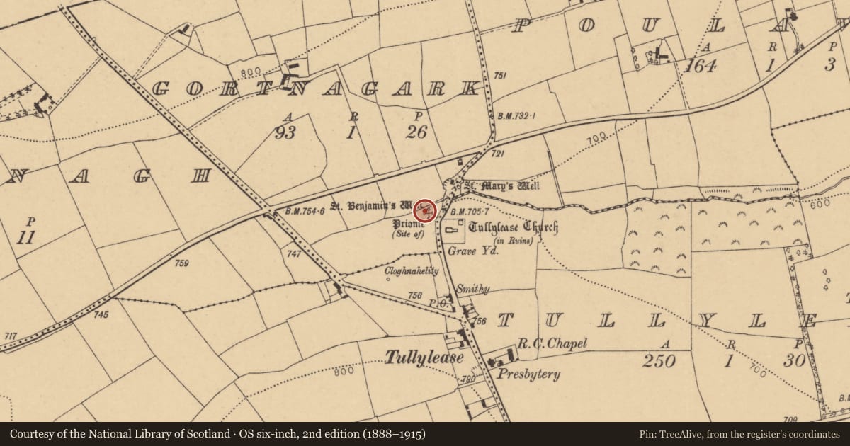 Ordnance Survey six-inch map, 2nd edition (1888–1915) covering the location of Ritual site - holy well, Gortnagark, County Cork, with a pin at the register's coordinates