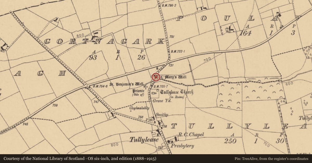 Ordnance Survey six-inch map, 2nd edition (1888–1915) covering the location of Ritual site - holy well, Poulavare, County Cork, with a pin at the register's coordinates