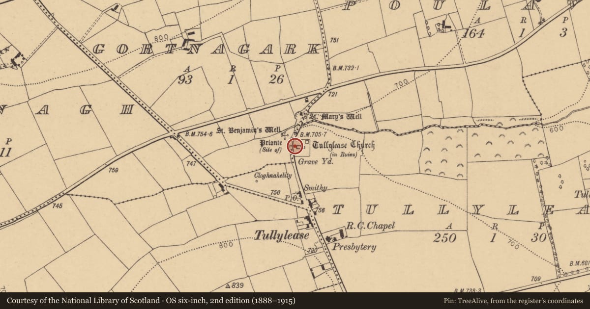 Ordnance Survey six-inch map, 2nd edition (1888–1915) covering the location of Cross-slab, Tullylease, County Cork, with a pin at the register's coordinates