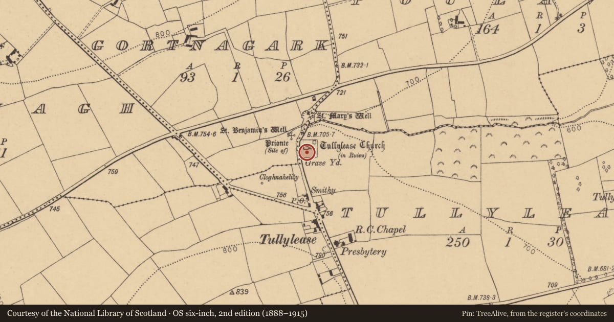 Ordnance Survey six-inch map, 2nd edition (1888–1915) covering the location of Cross-slab, Tullylease, County Cork, with a pin at the register's coordinates