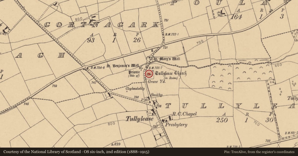 Ordnance Survey six-inch map, 2nd edition (1888–1915) covering the location of Bullaun stone, Tullylease, County Cork, with a pin at the register's coordinates