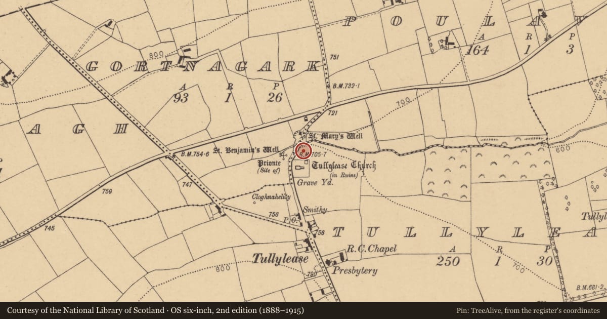 Ordnance Survey six-inch map, 2nd edition (1888–1915) covering the location of Ecclesiastical enclosure, County Cork, with a pin at the register's coordinates