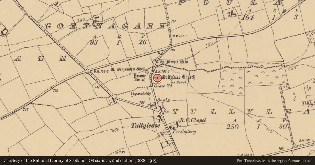 Ordnance Survey six-inch map, 2nd edition (1888–1915) covering the location of Cross-slab, Tullylease, County Cork, with a pin at the register's coordinates