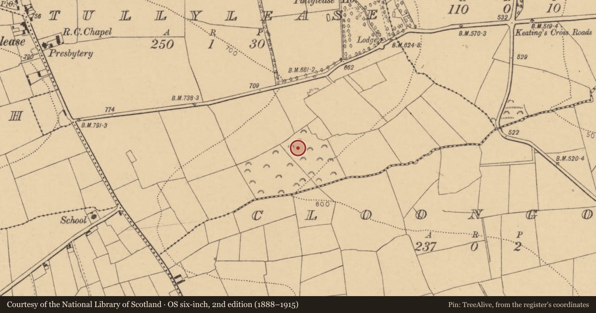 Ordnance Survey six-inch map, 2nd edition (1888–1915) covering the location of Fulacht fia, Tullylease, County Cork, with a pin at the register's coordinates