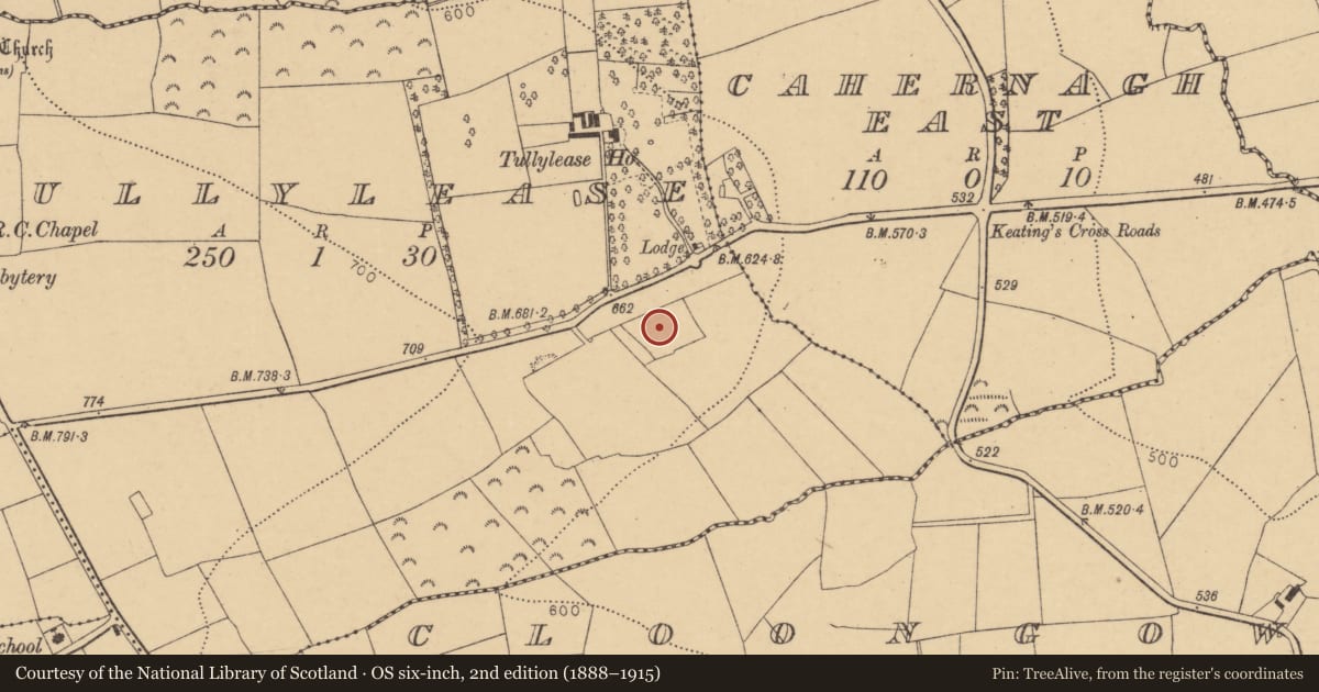 Ordnance Survey six-inch map, 2nd edition (1888–1915) covering the location of Fulacht fia, Tullylease, County Cork, with a pin at the register's coordinates