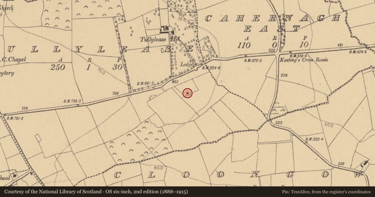 Ordnance Survey six-inch map, 2nd edition (1888–1915) covering the location of Fulacht fia, Tullylease, County Cork, with a pin at the register's coordinates