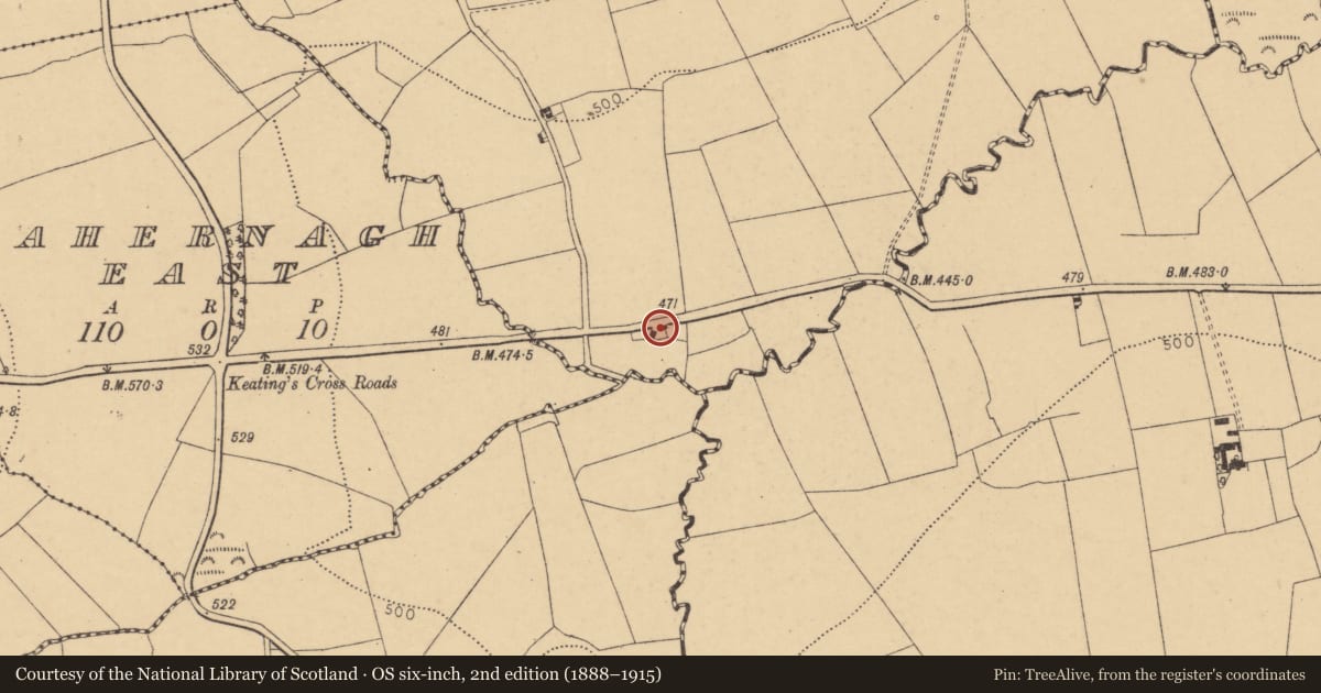 Ordnance Survey six-inch map, 2nd edition (1888–1915) covering the location of House - vernacular house, Drom Óinigh, County Cork, with a pin at the register's coordinates