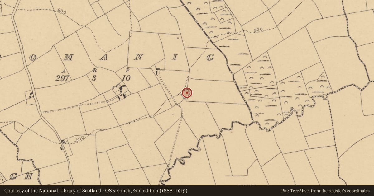 Ordnance Survey six-inch map, 2nd edition (1888–1915) covering the location of Moated site, Drom Óinigh, County Cork, with a pin at the register's coordinates