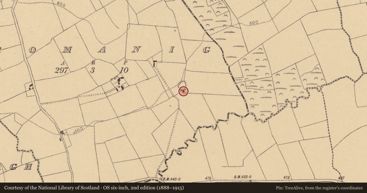 Ordnance Survey six-inch map, 2nd edition (1888–1915) covering the location of Fulacht fia, Drom Óinigh, County Cork, with a pin at the register's coordinates