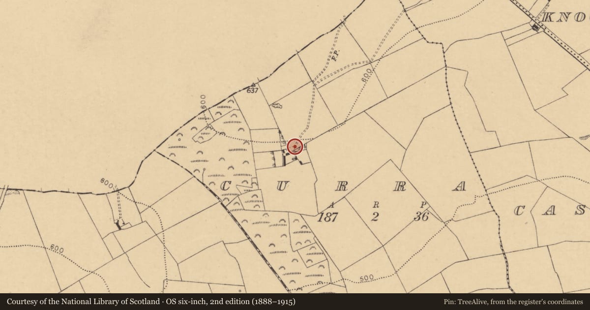 Ordnance Survey six-inch map, 2nd edition (1888–1915) covering the location of Architectural fragment, Curra, County Cork, with a pin at the register's coordinates
