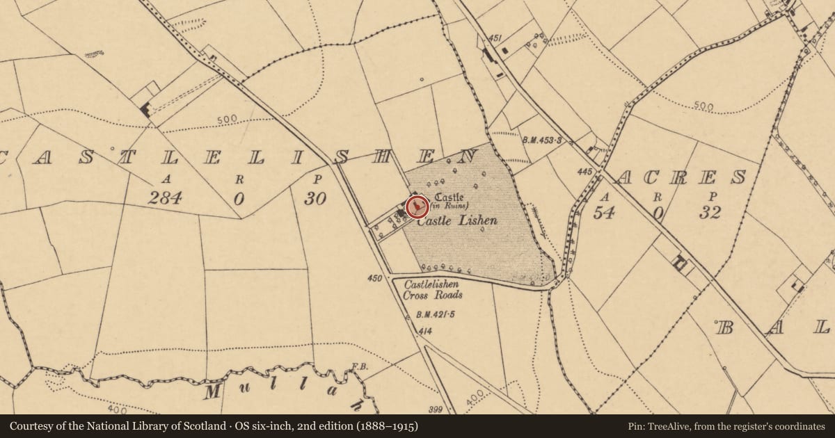 Ordnance Survey six-inch map, 2nd edition (1888–1915) covering the location of Country house, Castlelishen, County Cork, with a pin at the register's coordinates
