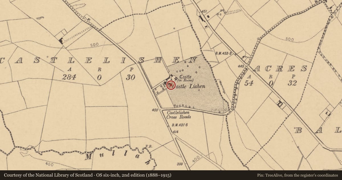 Ordnance Survey six-inch map, 2nd edition (1888–1915) covering the location of Designed landscape - belvedere, Castlelishen, County Cork, with a pin at the register's coordinates