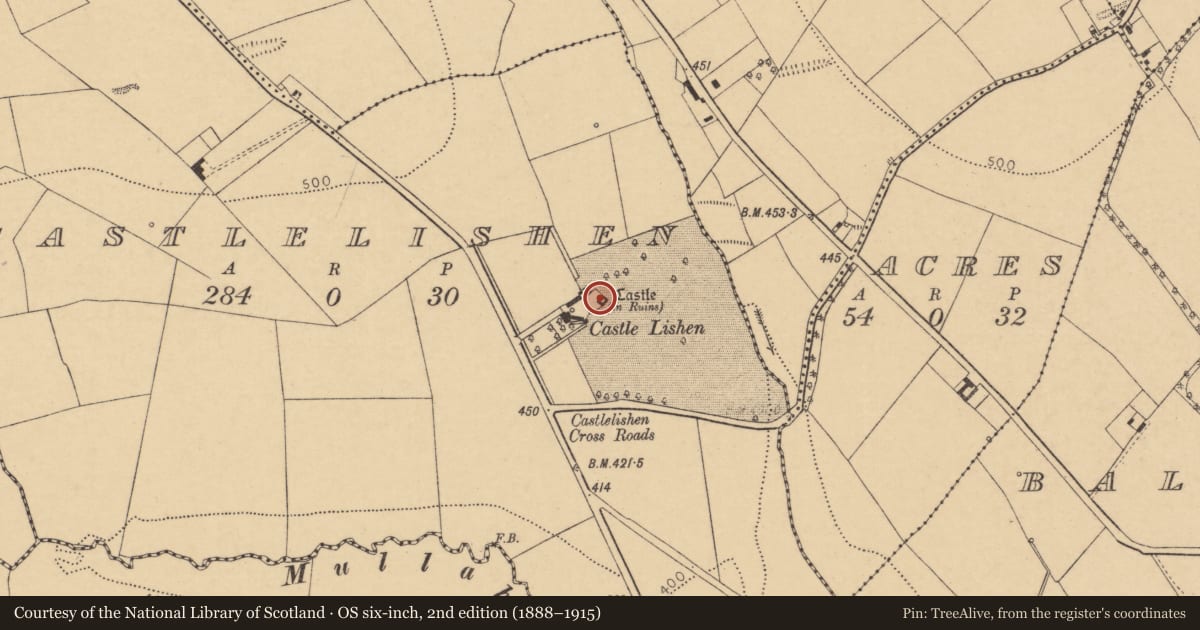 Ordnance Survey six-inch map, 2nd edition (1888–1915) covering the location of Armorial plaque, County Cork, with a pin at the register's coordinates