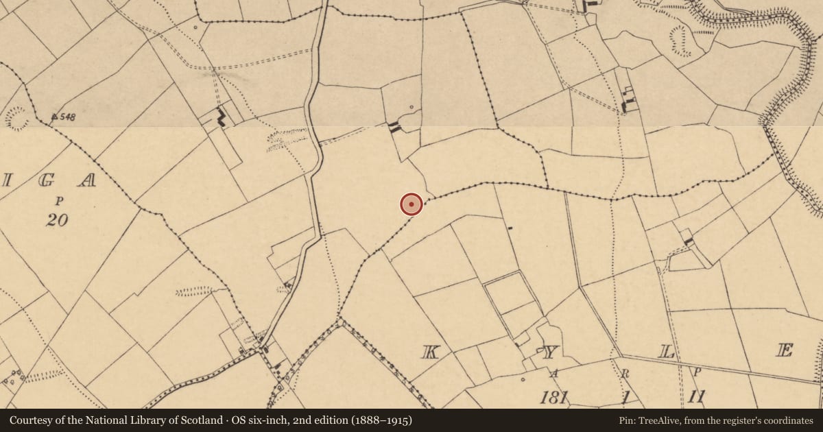 Ordnance Survey six-inch map, 2nd edition (1888–1915) covering the location of Fulacht fia, Shronepookeen, County Cork, with a pin at the register's coordinates
