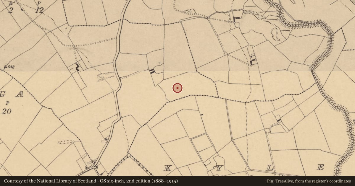 Ordnance Survey six-inch map, 2nd edition (1888–1915) covering the location of Fulacht fia, Shronepookeen, County Cork, with a pin at the register's coordinates