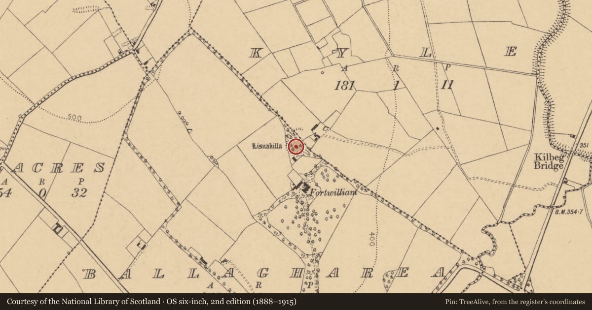 Ordnance Survey six-inch map, 2nd edition (1888–1915) covering the location of Ringfort - rath, Ballagharea, Kyle, County Cork, with a pin at the register's coordinates