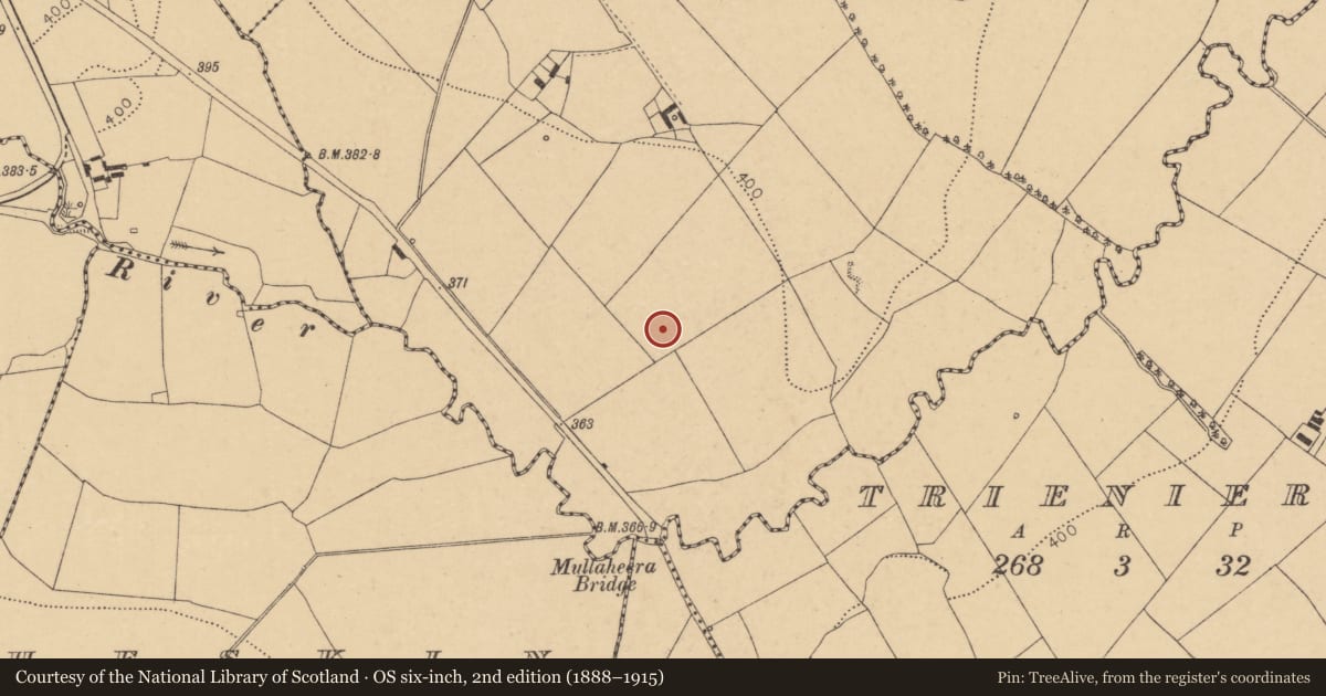 Ordnance Survey six-inch map, 2nd edition (1888–1915) covering the location of Urn burial, Ballagharea, County Cork, with a pin at the register's coordinates