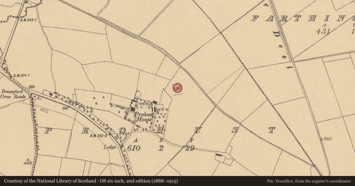 Ordnance Survey six-inch map, 2nd edition (1888–1915) covering the location of Enclosure, Prohust, County Cork, with a pin at the register's coordinates