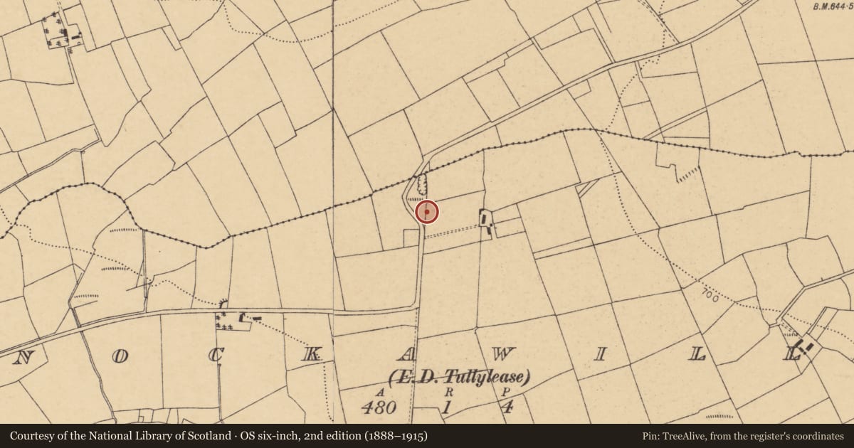 Ordnance Survey six-inch map, 2nd edition (1888–1915) covering the location of Barrow - ring-barrow, Knockawillin (Duhallow By., Tullylease Par.), County Cork, with a pin at the register's coordinates