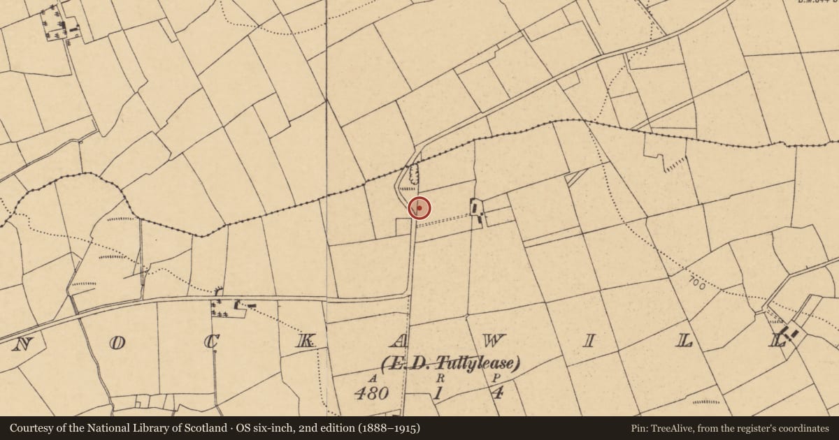 Ordnance Survey six-inch map, 2nd edition (1888–1915) covering the location of Barrow - ring-barrow, Knockawillin (Duhallow By., Tullylease Par.), County Cork, with a pin at the register's coordinates