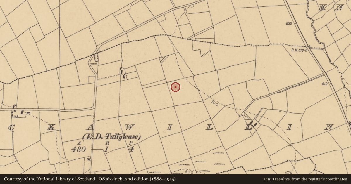 Ordnance Survey six-inch map, 2nd edition (1888–1915) covering the location of Fulacht fia, Knockawillin (Duhallow By., Tullylease Par.), County Cork, with a pin at the register's coordinates