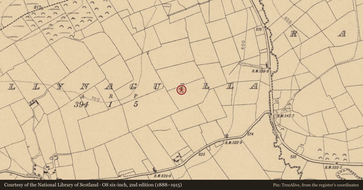 Ordnance Survey six-inch map, 2nd edition (1888–1915) covering the location of Fulacht fia, Ballynaguilla, County Cork, with a pin at the register's coordinates