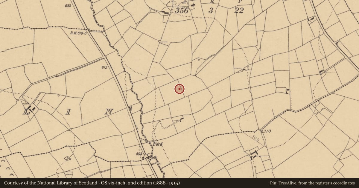 Ordnance Survey six-inch map, 2nd edition (1888–1915) covering the location of Fulacht fia, Knockatoumpane, County Cork, with a pin at the register's coordinates
