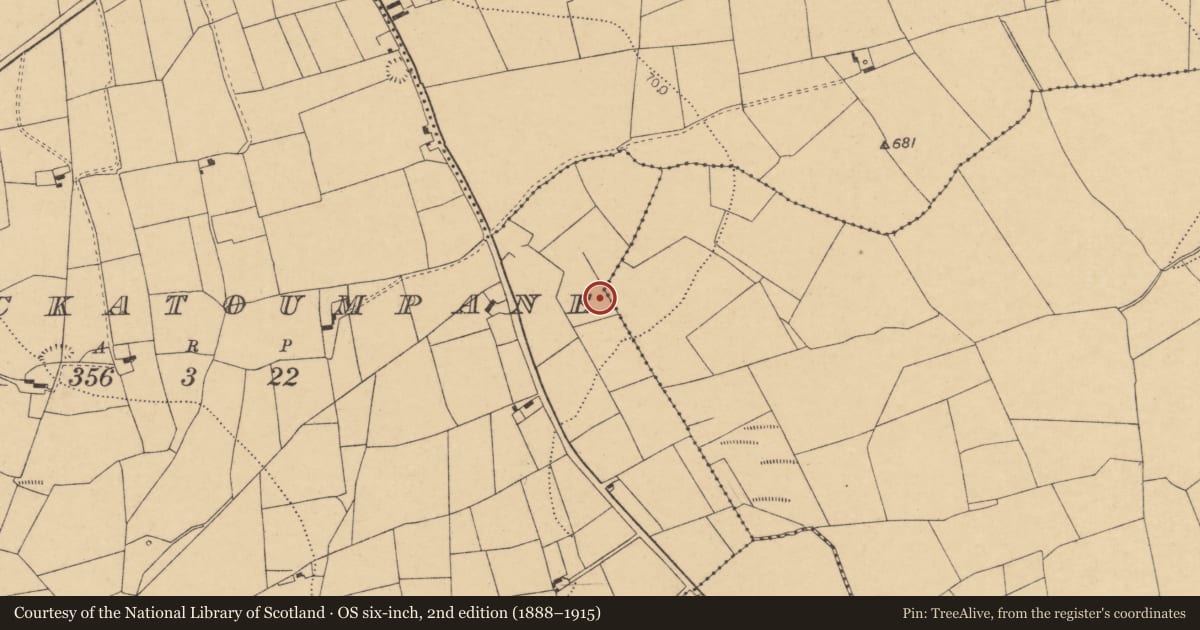 Ordnance Survey six-inch map, 2nd edition (1888–1915) covering the location of Fulacht fia, Knockatoumpane, County Cork, with a pin at the register's coordinates